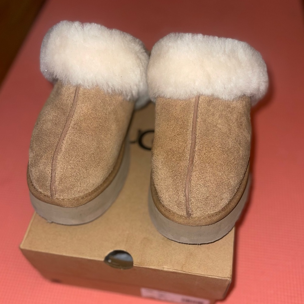 Ugg Disquette